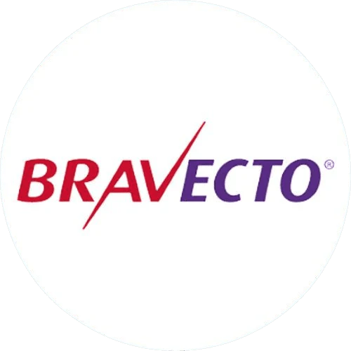img bravecto img bravecto