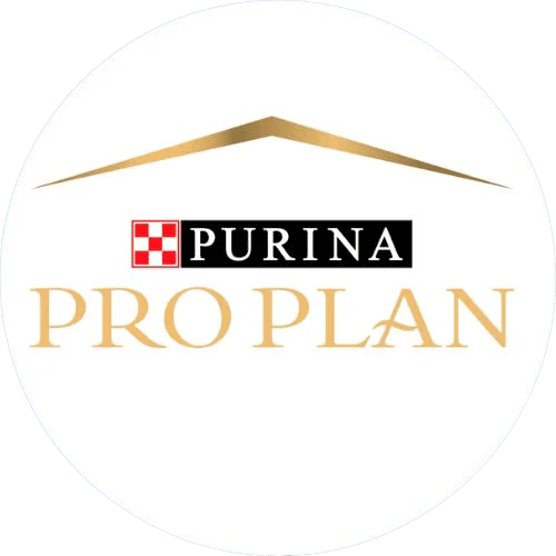 img proplan img proplan